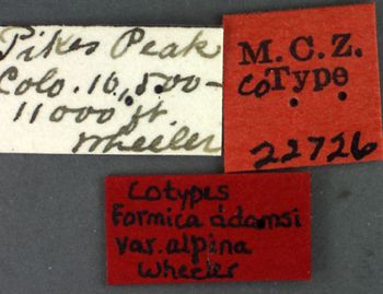 Media type: image;   Entomology 22726 Aspect: labels